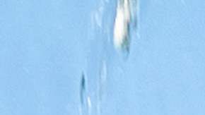 El Oeste de EE.UU. vuelve a sufrir una ola de calor extremo.