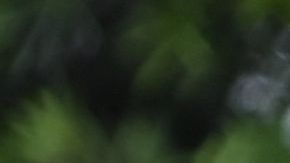 El presidente y la primera dama visitaron el  "Memorial de Surfside" con fotos de las víctimas del derrumbe.