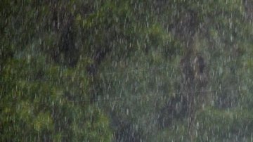 Tormenta tropical Elsa se aproxima a costa oeste de Florida y amenaza con volver a ser huracán