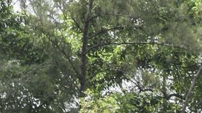 La multitud rodea la comisaría de Petionville, donde están detenidos los acusados del asesinato del presidente Jovenel Moise.