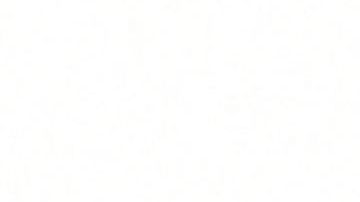 Los sospechosos del asesinato del presidente haitiano Jovenel Moise fueron presentados a los medios.