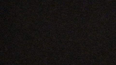 Los aficionados cometieron actos vandálicos antes y después del partido.