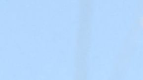 Lyna Khoudri, Wes Anderson y Timothee Chalamet.