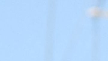 Lyna Khoudri, Wes Anderson y Timothee Chalamet.