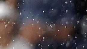 El jardinero lanzó la pelota a la tribuna, un aficionado se la lanzó de vuelta y se la pegó en la espalda.