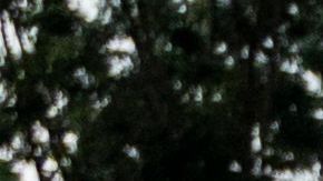 US-CUBA-DEMONSTRATION-POLITICS-GOVERNMENT-UNREST