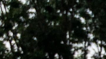 US-CUBA-DEMONSTRATION-POLITICS-GOVERNMENT-UNREST