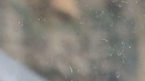 Un letrero en una tienda recuerda a las personas que deben usar mascarilla en Los Ángeles.
