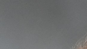 Guillermo "Memo" Ochoa