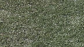 Ambas se enfrentaron este 24 de julio en el partido entre México y Estados Unidos.