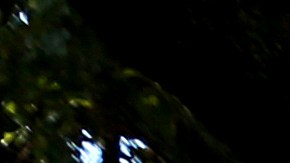 Louisiana restableció el uso de mascarillas en interiores recientemente.