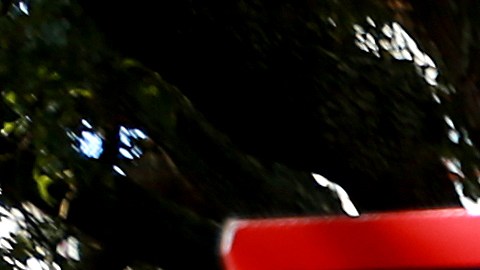 Louisiana restableció el uso de mascarillas en interiores recientemente.