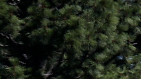 Jet que se estrelló en el norte de California estuvo a punto de caer sobre autobús escolar