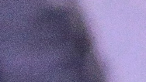 Los contagiados están asintomáticos y fueron puestos en aislamiento.