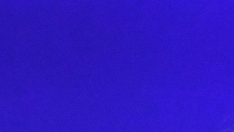 Fotografían a Beyoncé llevando un bolso Telfar y las redes sociales explotan de emoción