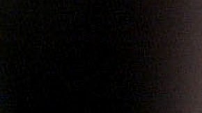 374626 01: (FILE PHOTO) Bacteriologist Erik Devereaux holds a mosquito that he will check for the West Nile Virus July 28, 2000 at the State Lab in Boston, MA. A man from the Queens borough was the second person in New York City to become infected with the West Nile Virus this year, the city's health department said, August 22, 2001. (Photo by Darren McCollester/Getty Images)