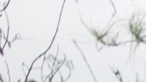 Se reanudaron las deportaciones exprés de familias migrantes.