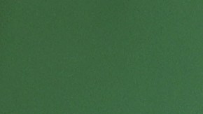 El mexicano ya inició los preparativos para la pelea, tal como afirman fuentes del su equipo.