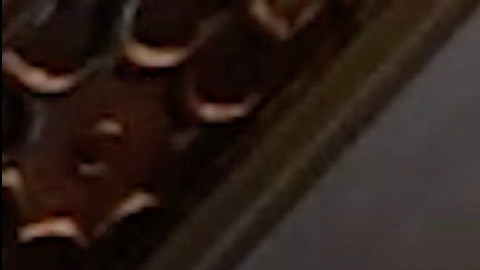 David Burtka y Neil Patrick Harris