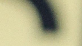 Premios Juventud 2021: Karol G, Sebastian Yatra y Yandel se suman a la lista de artistas que actuarán