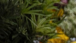 SURFSIDE, FLORIDA - Gobierno federal asumirá gastos de tragedia de la Champlain Tower