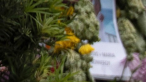 SURFSIDE, FLORIDA - Gobierno federal asumirá gastos de tragedia de la Champlain Tower