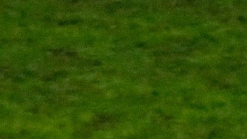 Perú también reclamó por un penalti no pitado tras una mano en el área brasileña.