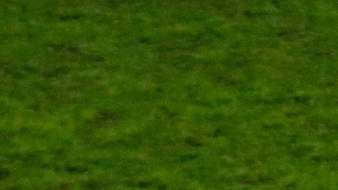 Perú también reclamó por un penalti no pitado tras una mano en el área brasileña.
