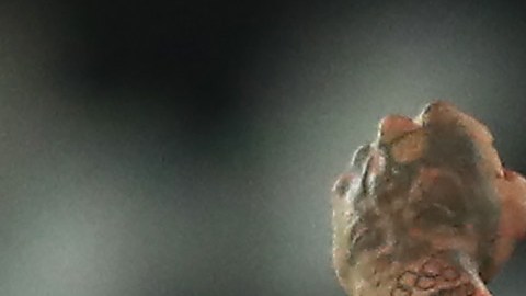 Neymar con el mítico dorsal 10.