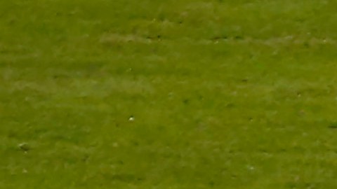 Angel Di Maria