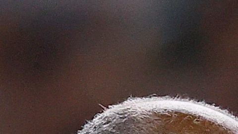 El delantero dejará la concentración del Tri y viajará a Italia a continuar la recuperación con el Napoli.