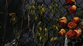 Memorial por los muertos del Champlain Towers en Miami.