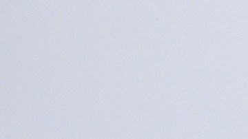 Roban identidad de pareja fallecida en el desplome del edificio en Surfside, y hacen fraude.