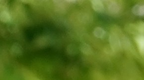 Inicia el envío del crédito fiscal por hijos-GettyImages-1328725379.jpeg