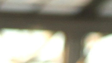 Diego Lainez, Alexis Vega y Carlos Rodriguez celebran el primer gol de México contra Francia.