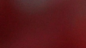 Zaza comenzó a practicar tenis de mesa a los cinco años de edad.