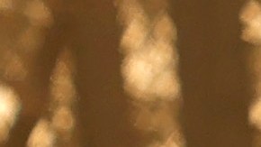 Una vivienda destruida por el incendio Dixie en Indian Falls, California.