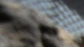 Las familias de inmigrantes indocumentados podrán recibir los beneficios del crédito tributario para hijos-GettyImages-168014438.jpg