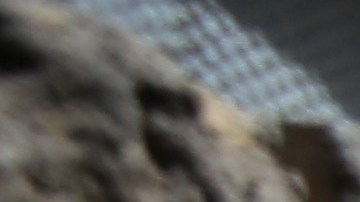 Las familias de inmigrantes indocumentados podrán recibir los beneficios del crédito tributario para hijos-GettyImages-168014438.jpg