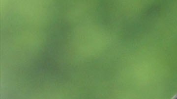 Ben Affleck y Jennifer Lopez están destinados a estar juntos