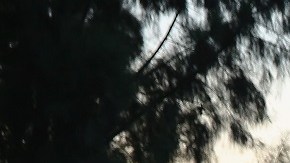 El gobernador de Texas quiere incrementar la presencia de la Guardia Nacional en la frontera.