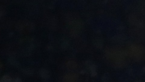 Selección de Alemania