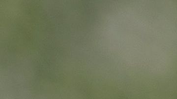 Trabajadores indocumentados podrán recibir hasta $2,200 dólares del cheque de estímulo de California