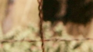 CBP reporta que ha detenido a más de un millón de inmigrantes en el año fiscal 2021.