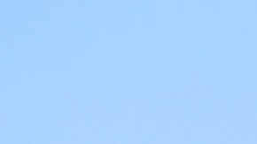 Los manifestantes se expresaron en el centro de LA.