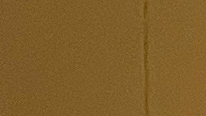 Diana Bautista, una joven dreamer habló de manera virtual con la vicepresidenta Kamala Harris sobre DACA. (Cortesía Jorge Mario Cabrera/CHIRLA)