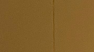 Diana Bautista, una joven dreamer habló de manera virtual con la vicepresidenta Kamala Harris sobre DACA. (Cortesía Jorge Mario Cabrera/CHIRLA)