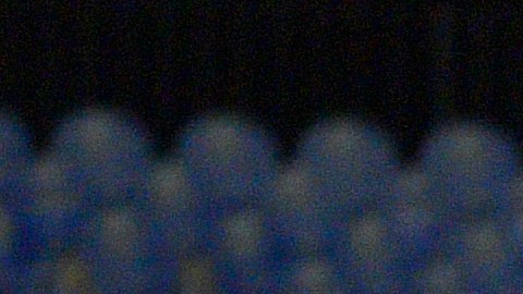 Bravos de León