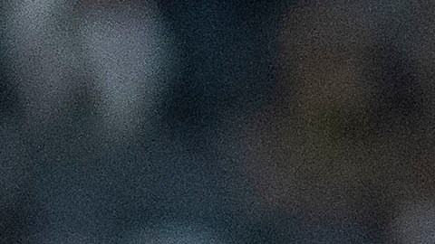 Carlos vela