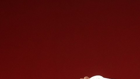 Mayora tiene 24 años de edad y es oriundo de Catia La Mar, en Venezuela.